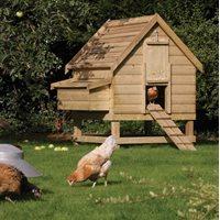 rowlinson large wooden chicken coop
