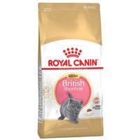 royal canin british shorthair kitten 400g