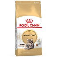 royal canin breed dry cat food economy packs norwegian forest cat 2 x  ...