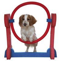 rosewood small dog agility hoop 70 x 32 x 68 cm l x w x h