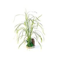 Rosewood Sydeco Aquarium/Fish Tank Decor Lily Grass Plants with Rocks, 40 cm