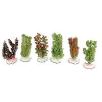 rosewood tropix aquarium plants small