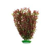 Rosewood Tropix Aquarium Plant Red Ludwigia, Giant