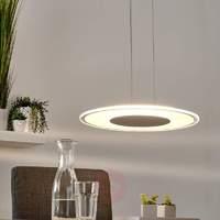 Round LED glass pendant light Friso