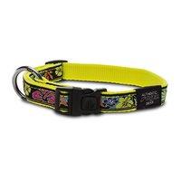 Rogz Collar Dayglo