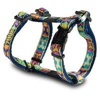 Rogz Harness Popart