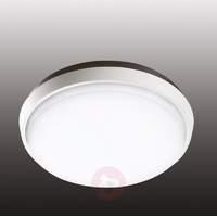 Round Olly LED outdoor light