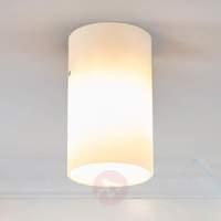 Round ceiling light Tube