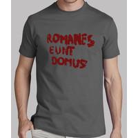 romance eunt domus