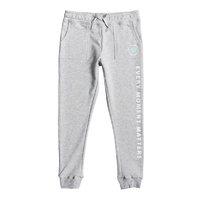 Roxy Not This Time Sweatpant - Grey