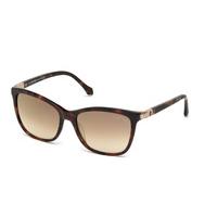 roberto cavalli sunglasses rc 987s thoban 52g