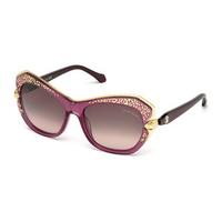 Roberto Cavalli Sunglasses RC 981S TAYGETA 74F