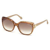 Roberto Cavalli Sunglasses RC 1017 ZANIAH 50F