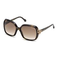 roberto cavalli sunglasses rc 1016 yildun 52f