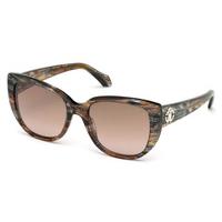 roberto cavalli sunglasses rc 990s tsih 50f