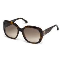 roberto cavalli sunglasses rc 1041 cecina 52f