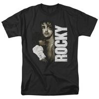 Rocky - Painted Rocky