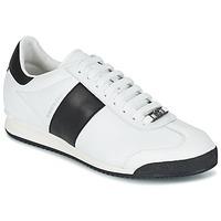 roberto cavalli 2042c mens shoes trainers in white