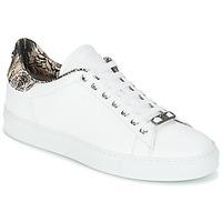 roberto cavalli 2073a mens shoes trainers in white