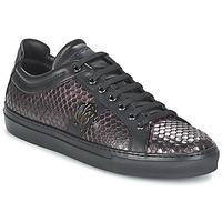 roberto cavalli rebecca mens shoes trainers in black