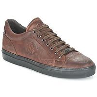 Roberto Cavalli RAULINE men\'s Shoes (Trainers) in brown