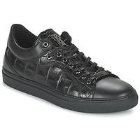 roberto cavalli raoula mens shoes trainers in black