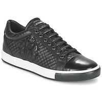 roberto cavalli ranya mens shoes trainers in black