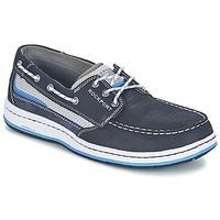 Rockport 3-EYE BOAT men\'s Boat Shoes in blue