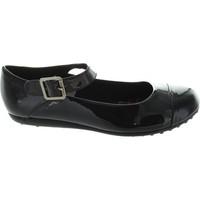 rocket dog rowland womens shoes pumps ballerinas in black