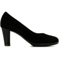 rosina dangelo s9100 decollet women womens court shoes in black