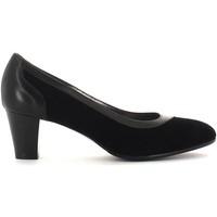 rosina dangelo s6091 decollet women womens court shoes in black