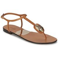 roberto cavalli xpx243 pz220 womens flip flops sandals shoes in brown