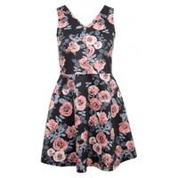 ROSE PRINT V-NECK SKATER DRESS