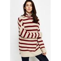 Roll Neck Striped Jumper