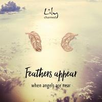 rose gold feather stud earrings with feathers appear message