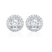 Roseberry 18ct white gold 0.50 carat diamond halo stud earrings