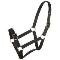 Roma Headcollar and Leadrope Set