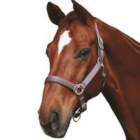 Roma Supreme Headcollar