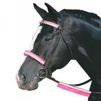 Roma Reflective Bridle Kit