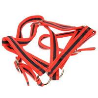 Roma Collar And Leadrope Set