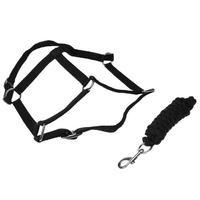 Roma Headcollar and Leadrope Set