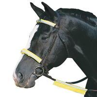 Roma Reflect Bridle Kt 81