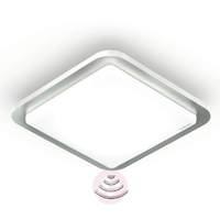 RS LED D2 stainless steel sensor ceiling light