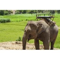 Rural Thailand Tour from Phuket Including Elephant Ride and Chalong Bay Cruise
