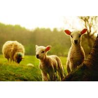 Rural Sofia Day Tour