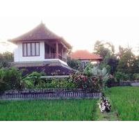 Rumah Dadong