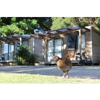 Russell-Orongo Bay Holiday Park
