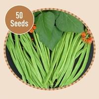 Runner Bean Achievement 50 Seeds