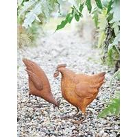 Rusty Red Pecking Hen