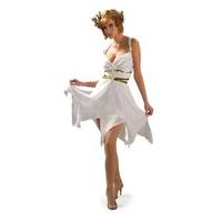 Rubie\'s Grecian Goddess Fancy Dress (Standard)